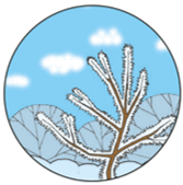 0900cxhg-f717-167x169.png