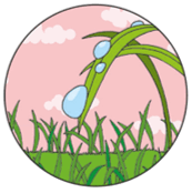 0900cxia-99ca-173x174.png