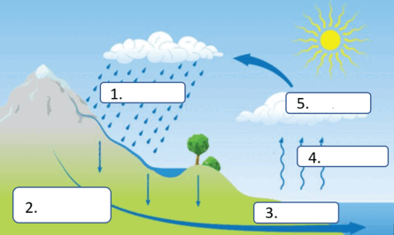 0900cxmp-091e-445x266.png