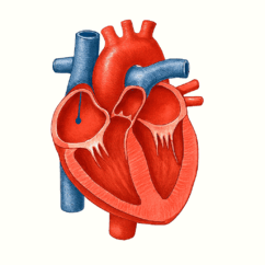 0900cxnm-a8c9-242x242.png