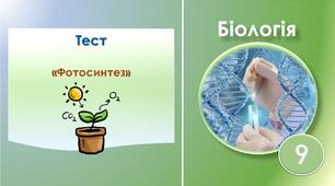 Фотосинтез