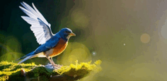 0900d024-7e35-236x115.png