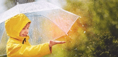 0900d029-fc7c-236x115.png