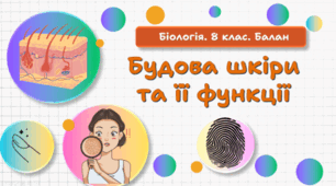 Будова шкіри та її функції. 8 клас НУШ.
