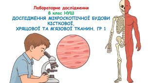 Презентація: лабораторне дослідження. Дослідження мікроскопічної будови кісткової, хрящової та м’язової тканин. 8 клас НУШ. Гр 1
