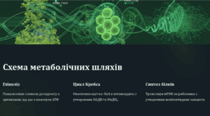 Обмін речовин та енергії – основа функціонування біологічних систем