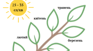 "Гілочка росту" для відстежування динаміки вдосконалення навички читання в початковій школі. Формат А - 5