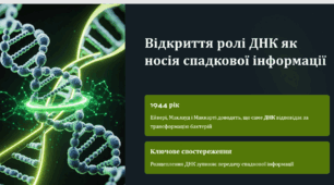 Нуклеїнові кислоти та їх біологічна роль