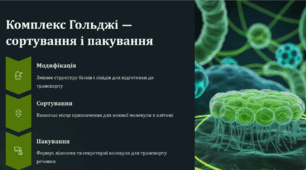 Структури клітин, які забезпечують процеси метаболізму