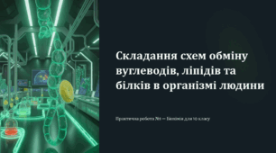 Складання схем обміну вуглеводів, ліпідів та білків в організмі людини