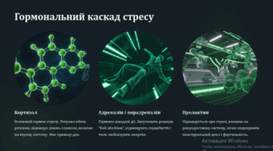 Вплив стресових факторів на організм людини