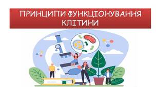 Узагальнення знань з теми "Принцип функціонування клітин".