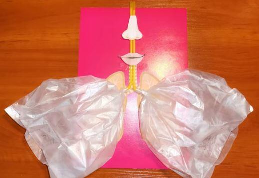 0900d4hs-7fd9-519x357.jpg