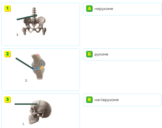 0900d59c-3b3f-525x413.png