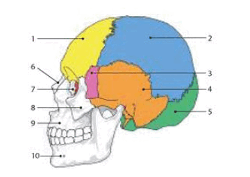 0900d5o0-eb84-360x256.png