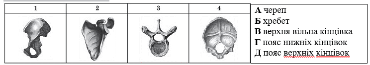 0900d5q4-eb99-744x131.png