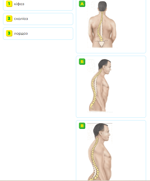 0900d5rk-e640-498x601.png