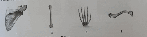 0900d5wg-8cc9-512x129.png
