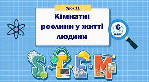 Урок 11 "Кімнатні рослини в житті людини" 6 клас STEM