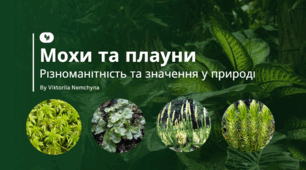 Відкритий урок "Різноманітність мохів і плаунів"