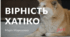 Читання мовчки 5 клас, українська література