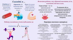 Робота м’язів. Втома м’язів та її причини.