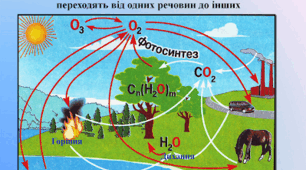 Колообіг Оксигену в природі.Кисень.Озон.