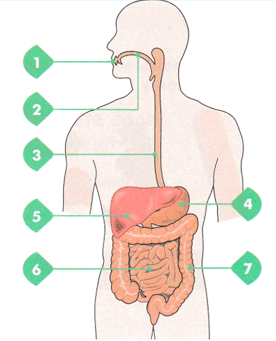 0900da7d-069c-398x492.png