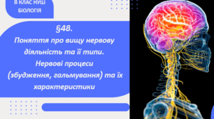 Презентація до уроку «§48.Поняття про вищу нервову діяльність та її типи. Нервові процеси (збудження, гальмування) та їх характеристики» 8клас НУШ