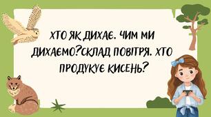 Хто як дихає. Чим ми дихаємо? Склад повітря. Хто продукує кисень?