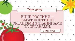 Вищі рослини – багатоклітинні організми з тканинами та органами.