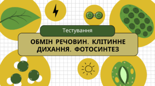 Обмін речовин та перетворення енергії. Клітинне дихання. Фотосинтез