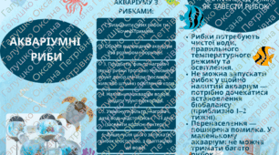 Буклет "Що потрібно знати перед тим, як завести рибок"