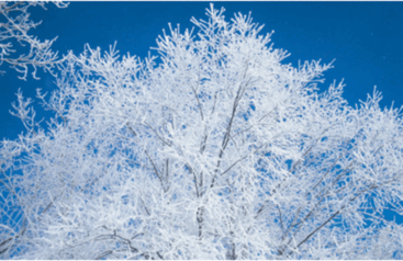 0900dm0h-d7e5-367x238.png