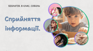 Сприйняття інформації. 8 клас НУШ