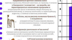 Створила підсумкову роботу для 8 класу НУШ за темами «Опорно-рухова система» та «Травна система».
