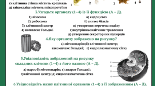 9 клас з теми «Структура клітини. Принципи функціонування клітини».