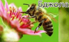 0900drio-3e55-238x145.png