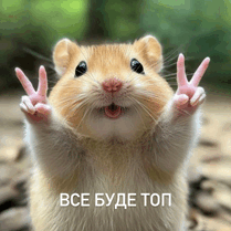 0900drti-1911-209x209.png