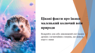 Цікаві факти про їжака: маленький колючий воїн природи