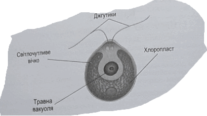 0900dseq-3305-419x236.png