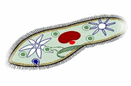 0900dsl1-21b5-131x86.png
