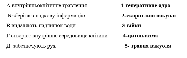 0900dsl6-bbe3-619x194.png