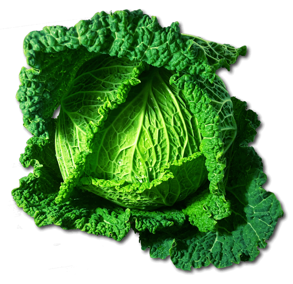 0900dt0d-29ac-940x909.png