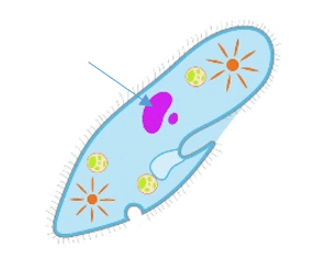 0900dt7q-7173-287x246.png