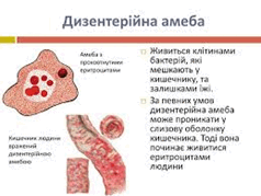 0900dte2-80e8-238x179.png