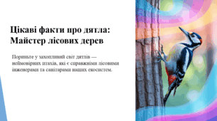 Цікаві факти про дятла: майстер лісових дерев