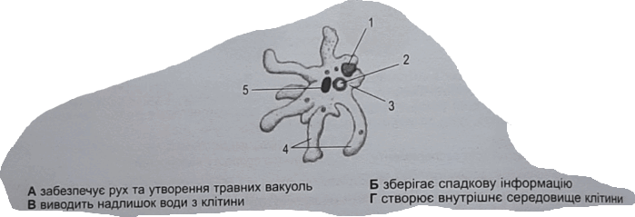 0900dtov-5b87-699x239.png