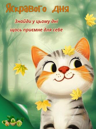 0900dtpb-b2be-332x444.jpg