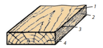0900dttd-19bf-334x158.png